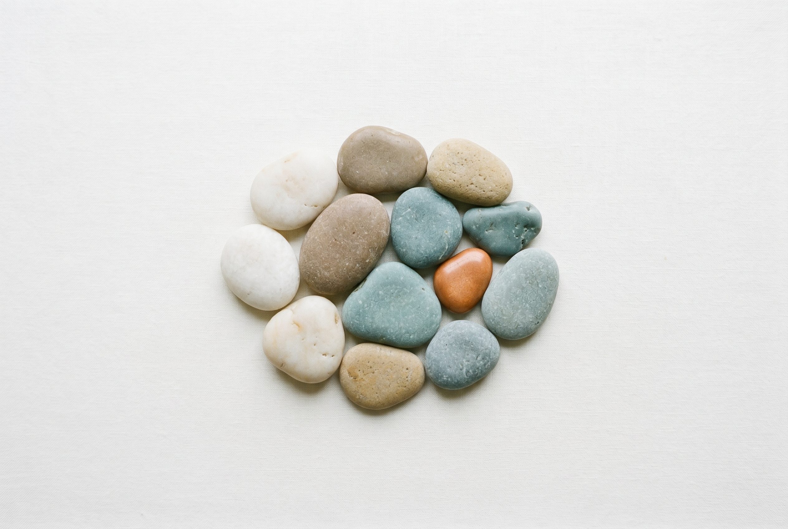 Symbolbild: Anordnung verschiedener Kieselsteine in unterschiedlichen Farben als Sinnbild für Vielfalt und Inklusion
