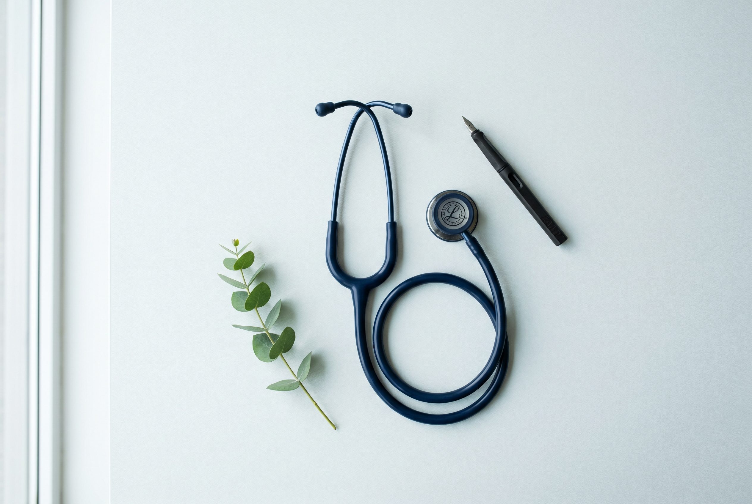 Symbolbild: modernes Stethoskop, Füllfederhalter und Eukalyptus-Zweig auf hellem Untergrund